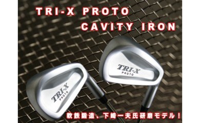 TRI-X-PROTO CAVITYNSPRO950