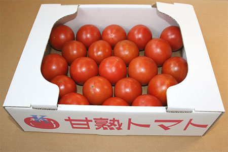 川助農園のフルーツトマト
