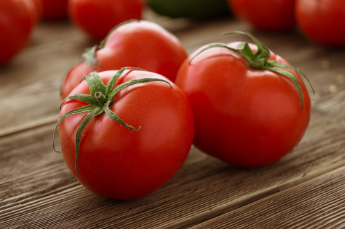 トマト ふるさと納税