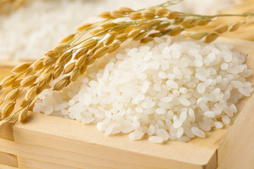 ふるさと納税で5kgのお米がもらえる自治体は？オススメ人気銘柄まとめ